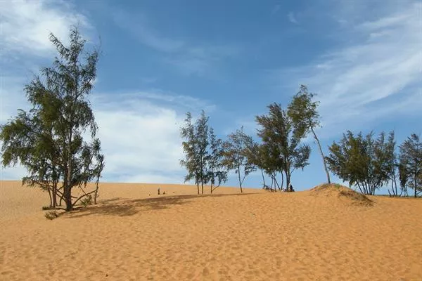 Làm móng nhà trên nền đất cát ở Mũi Né, Phan Thiết: những điều cần biết