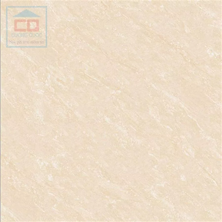 Gạch granite Thạch Bàn 60x60 chống trơn FGM60-0016.0