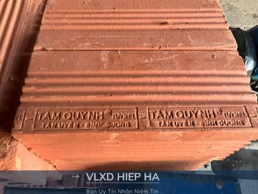 Gạch tuynel Tám Quỳnh